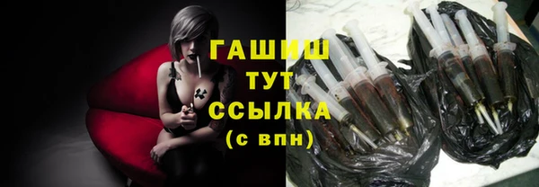 гашик Алексин
