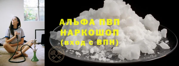 гашик Алексин