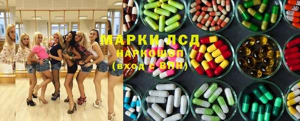гашик Алексин