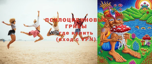 шишки Алексеевка
