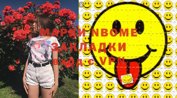гашик Алексин