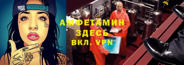 гашик Алексин
