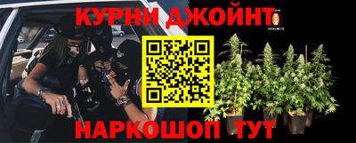 индика Донецк
