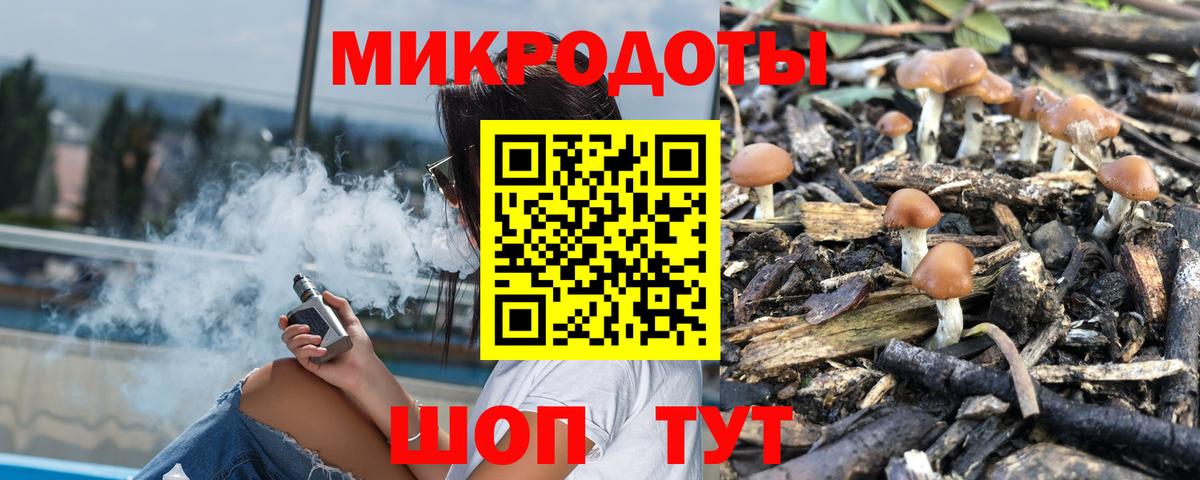 Губкин  Псилоцибиновые грибы Cubensis  Псилоцибиновые грибы ЛСД  Вход с VPN 